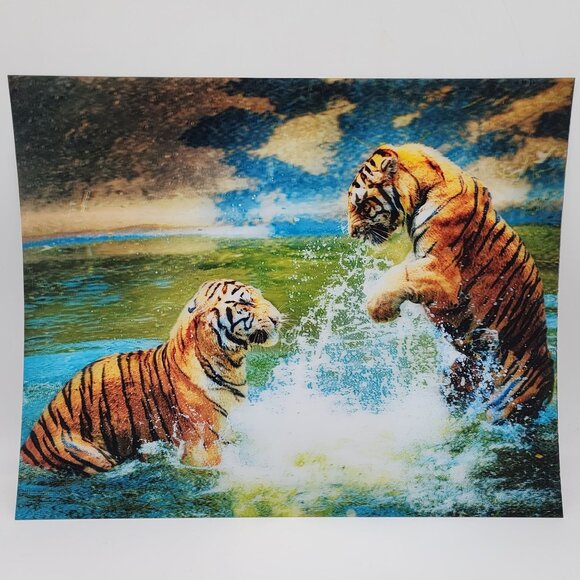 Lenticular Tigers Print Playing in the Water 20"x16"' Colorful and Bright - Picture 1 of 10